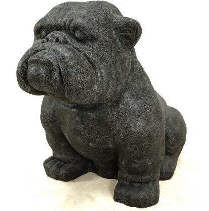 Amazing 40" Tall English Bulldog Natural Fossil, RIS 792