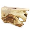 Impressive Organic Sono Wood Console Table, JS 419 - Image 4