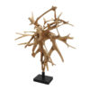 Extraordinary Teak Wood Sculpture, RIS 846 - Image 2