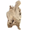Impressive Solid Teak Root Bench, RIS 874F - Image 3