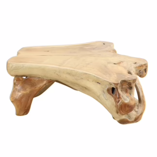 Nature Inspired Teak Root Coffee Table, DA 1A