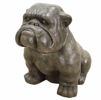 Amazing 40" Tall English Bulldog Natural Fossil, RIS 792