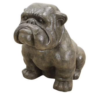Amazing 40" Tall English Bulldog Natural Fossil, RIS 792