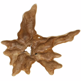 Stunning Teak Root Wall Decor, DA 73
