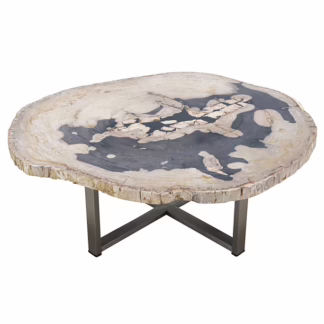 Colossal Size Petrified Wood Coffee Table, RIS 772A
