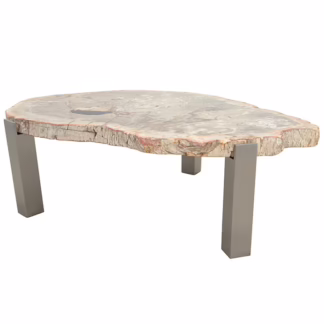 Colossal Size Petrified Wood Coffee Table, RIS 772C