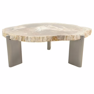 Colossal Size Petrified Wood Coffee Table, RIS 772E