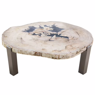 Colossal Size Petrified Wood Coffee Table, RIS 772F