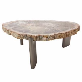 Colossal Size Petrified Wood Coffee Table, RIS 772