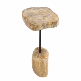 Petrified Wood Martini Table, RIS 873