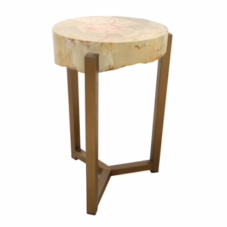 Beautiful Petrified Wood Side Table 23'' Tall, RIS 875A