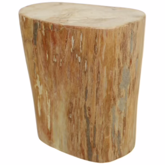 petrified wood side table angled view showing irregular organic silhouette and warm mineral tones
