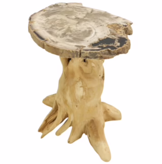angled view of petrified wood end table showing irregular natural edge and fossil pattern