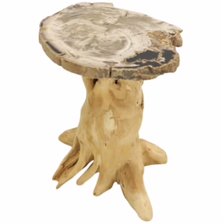 angled view of petrified wood end table showing irregular natural edge and fossil pattern
