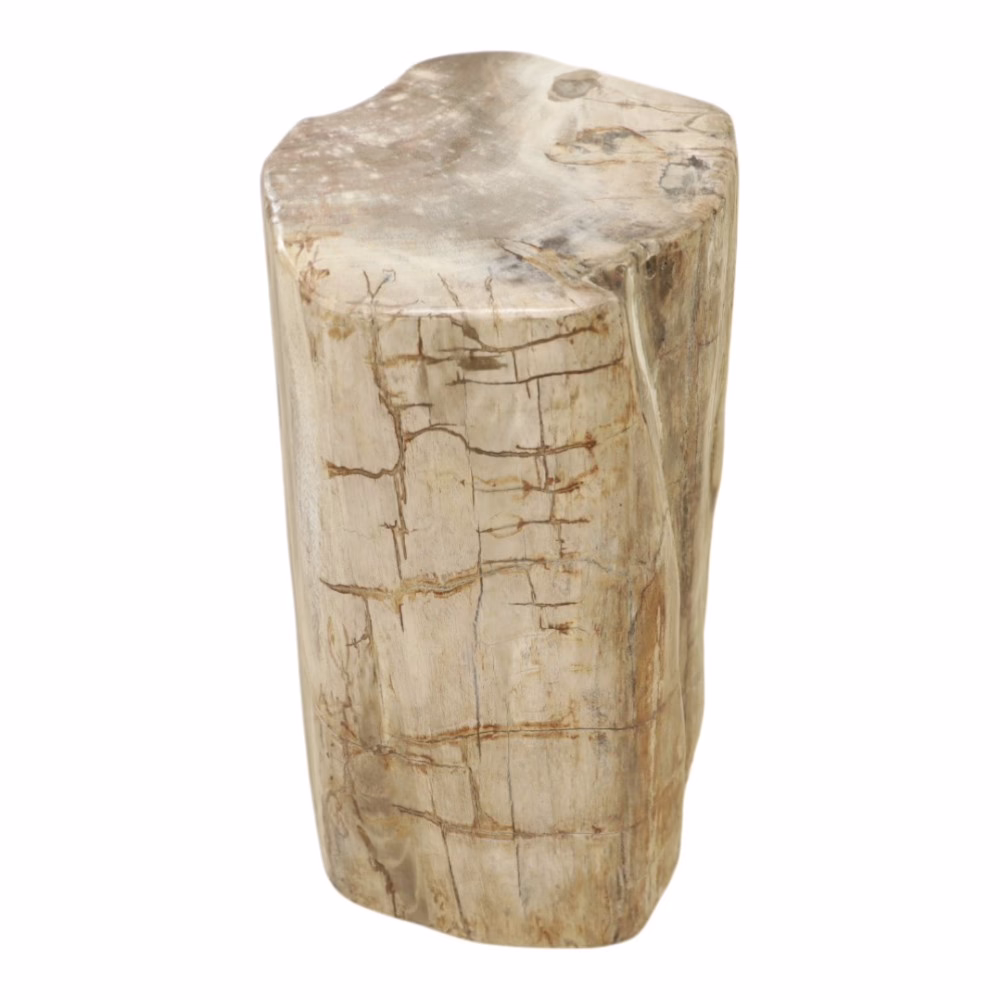 Finest Quality Petrified Wood End Table, RIS 838 B 7 solid petrified wood end table angled view showing organic shape