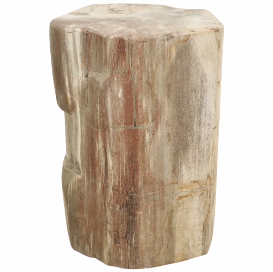 Finest Quality Petrified Wood End Table, RIS 838 B 1 solid petrified wood end table front view with natural stone veining