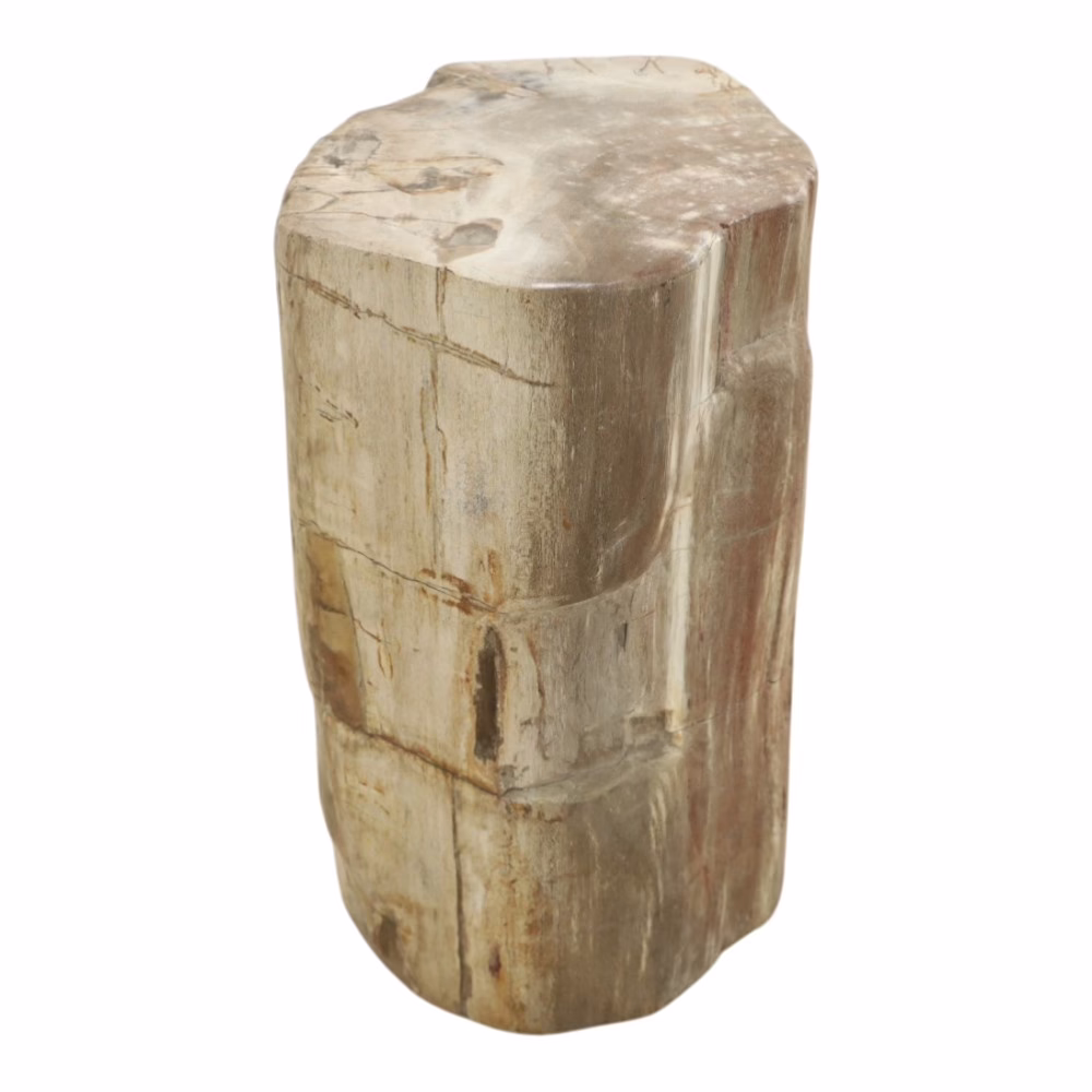 Finest Quality Petrified Wood End Table, RIS 838 B 8 solid petrified wood end table side profile with natural contour