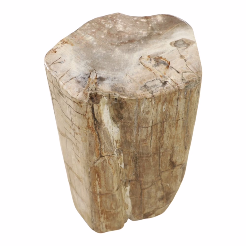 Finest Quality Petrified Wood End Table, RIS 838 B 4 solid petrified wood end table close up showing cracks and mineral texture