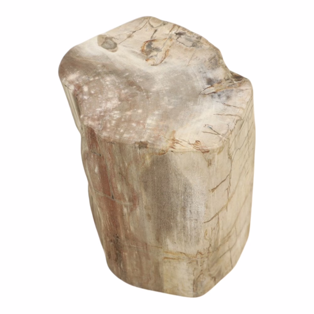 Finest Quality Petrified Wood End Table, RIS 838 B 5 solid petrified wood end table alternate angle showing irregular shape