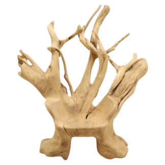 Sculptural One Of A Kind Teak Root Throne Chair handcrafted from a single teak root system